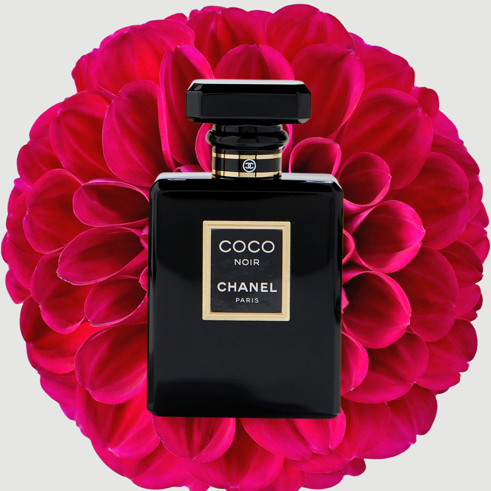 Chanel Coco Noir - Eau De Parfum 100ml