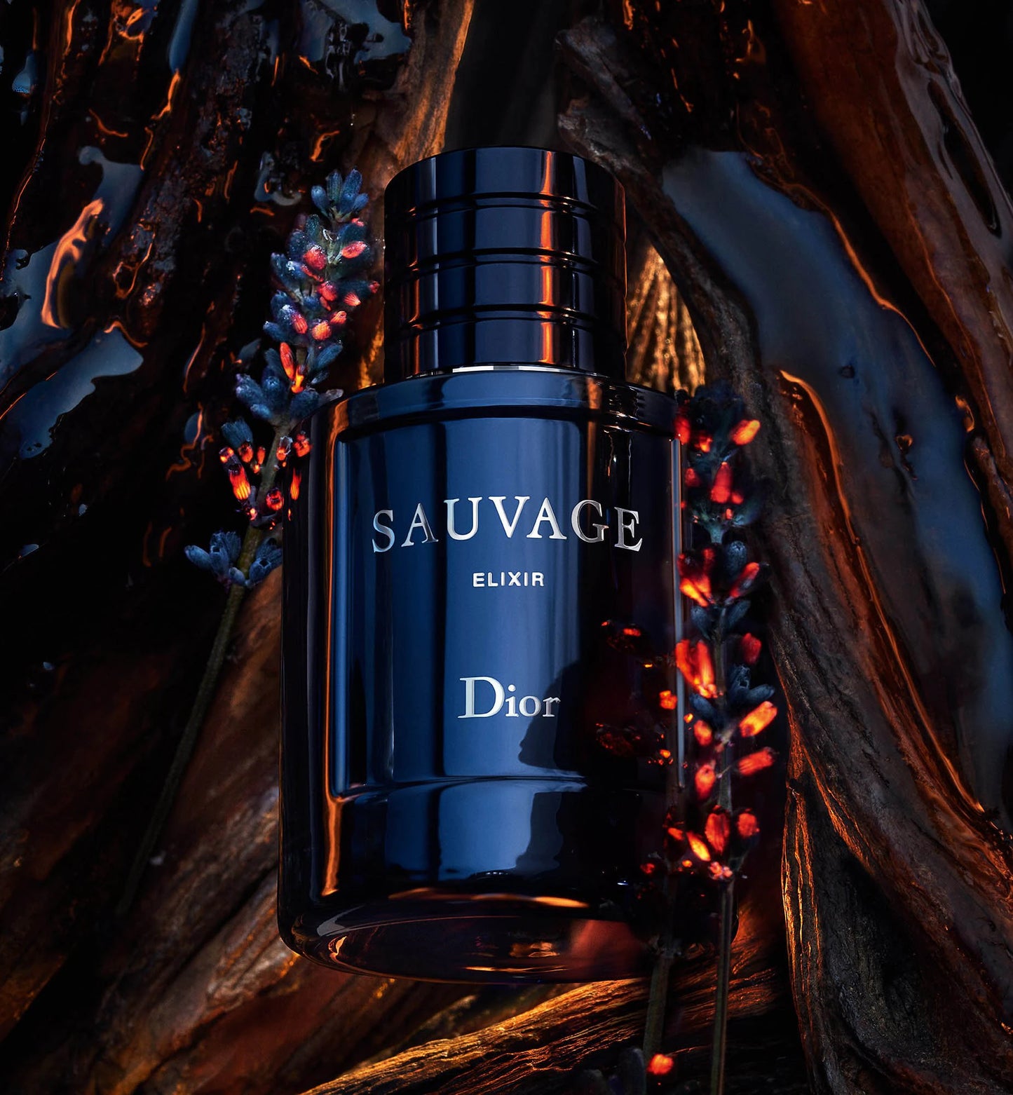 Dior Sauvage Elixir - Extract de Parfum 60ml